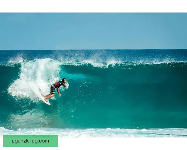 冲浪训练方法大揭秘，让你轻松掌握浪潮之间的起伏技巧