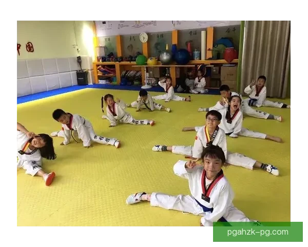 学习跆拳道高效方法大揭秘