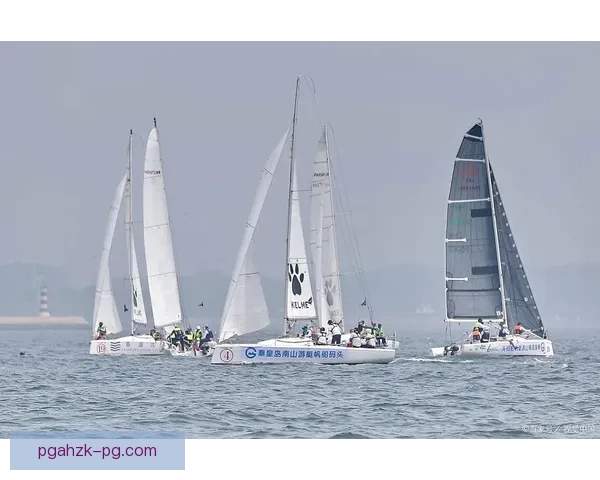 帆船赛事精彩回放盘点 帆船赛事精彩回放盘点